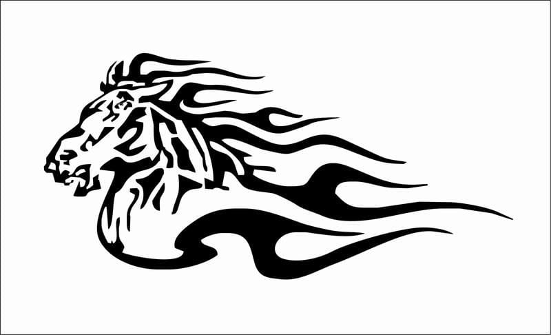 Flaming-animal-19
