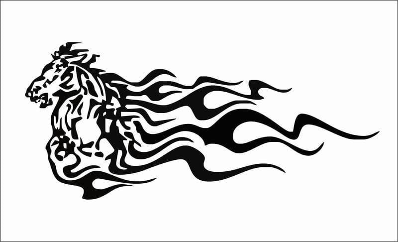 Flaming-animal-21