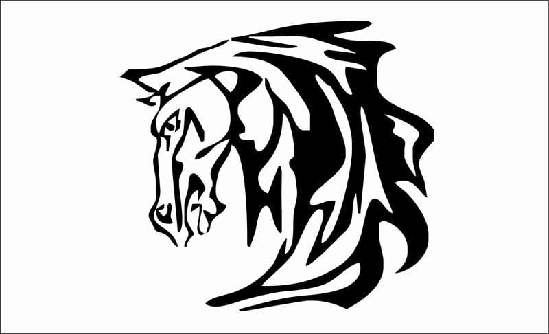 Flaming-animal-29