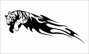 Flaming-animal-34