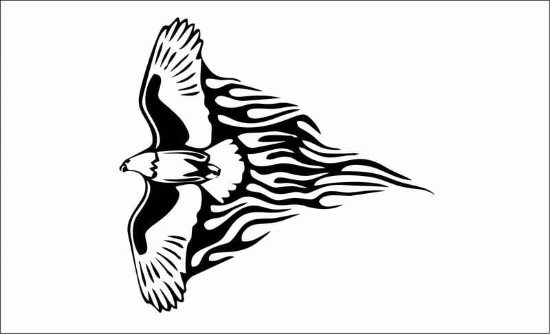 Flaming-animal-37