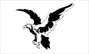 Aguila-ajkla