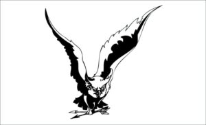 Aguila-ekara