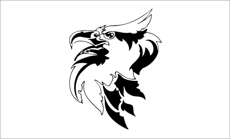 Aguila-adelaar