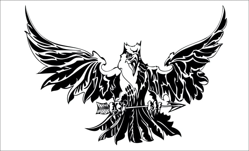 Aguila-allqamari
