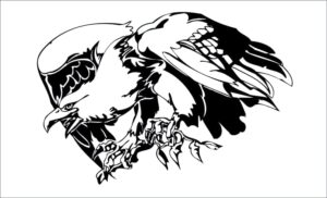 Aguila-orzeł