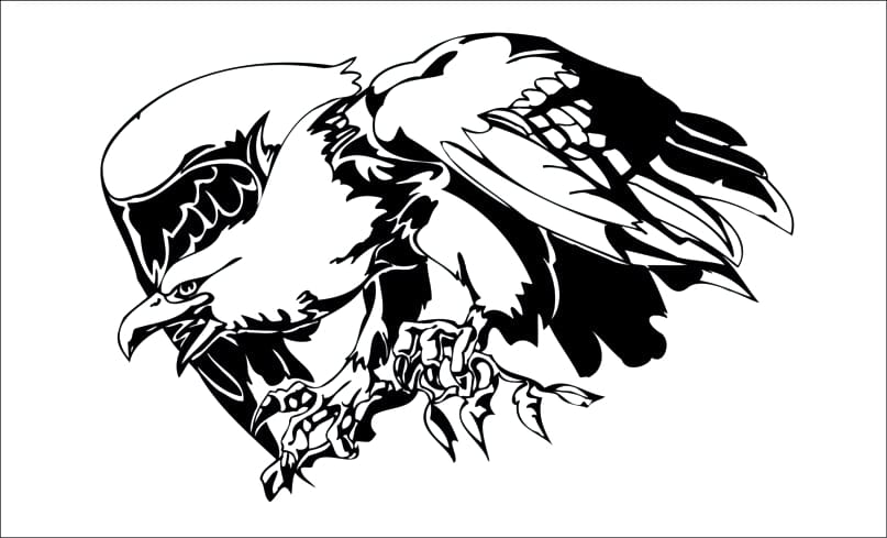 Aguila-orzeł