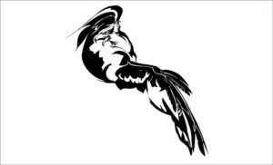 Aguila-gondo