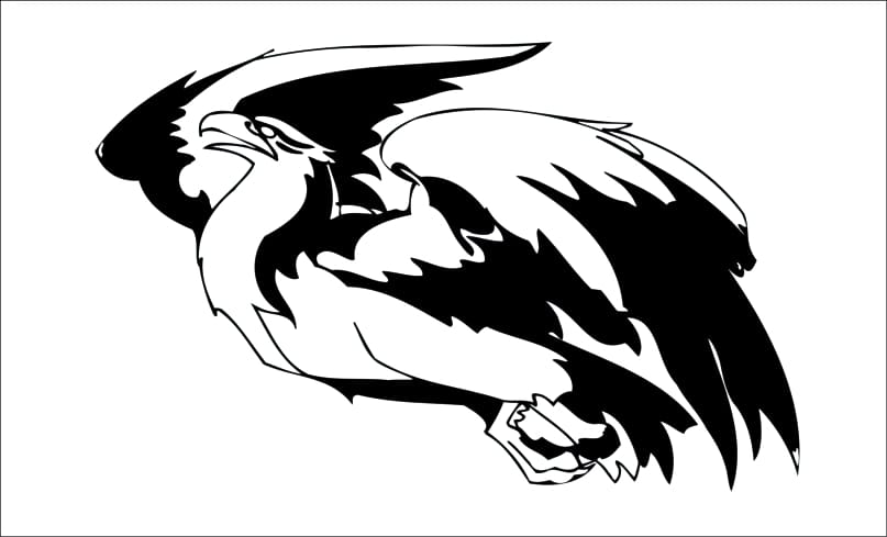 Aguila-acula